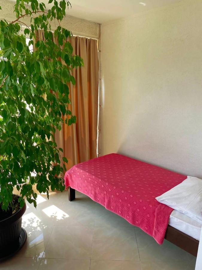 Apartmani Mina Herceg Novi Buitenkant foto